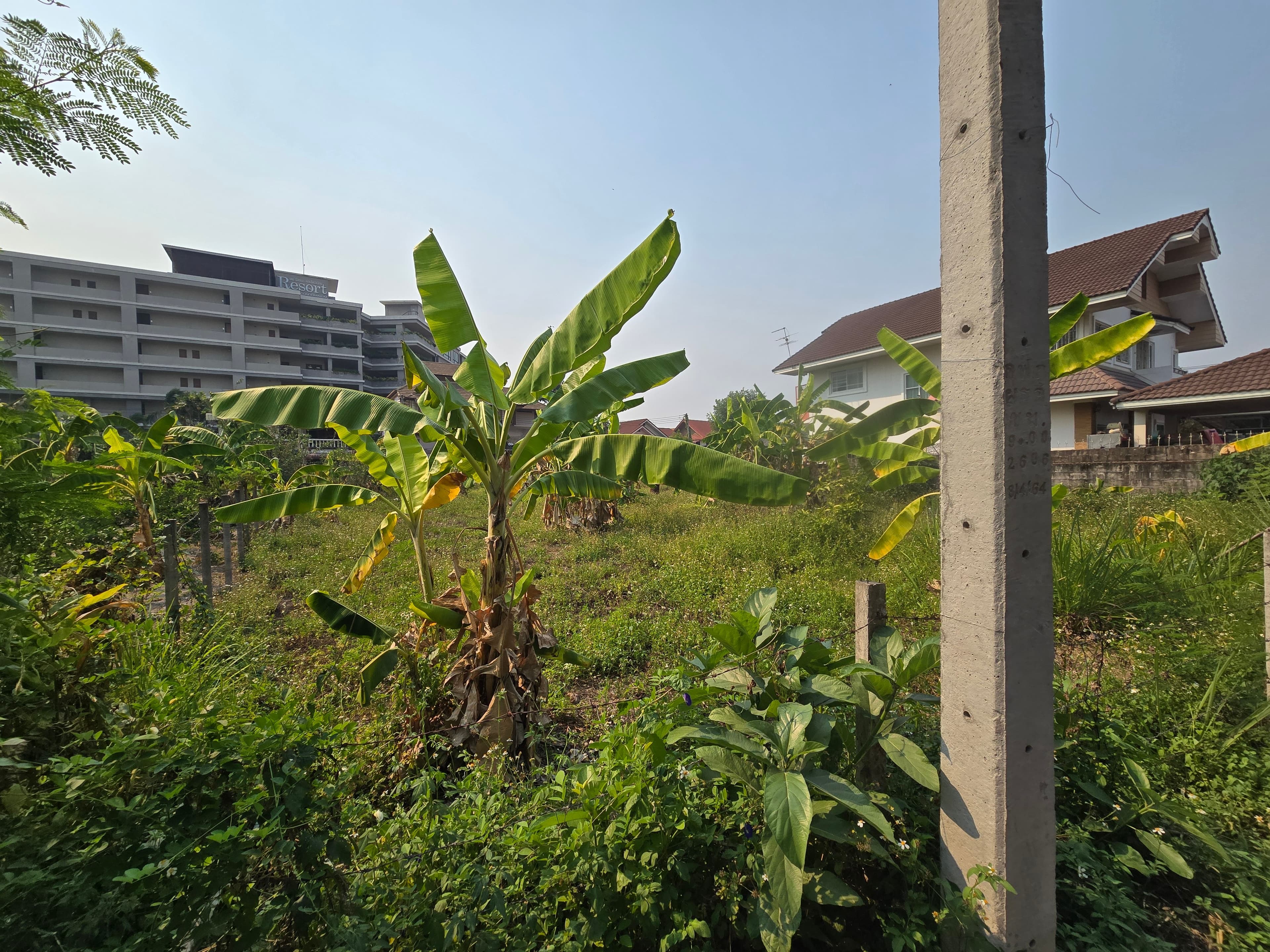 ที่ดินเปล่า พร้อมขาย ทำเลดี ติดศูนย์ประชุมและแสดงสินค้าเชียงใหม่ — รูปที่ 1